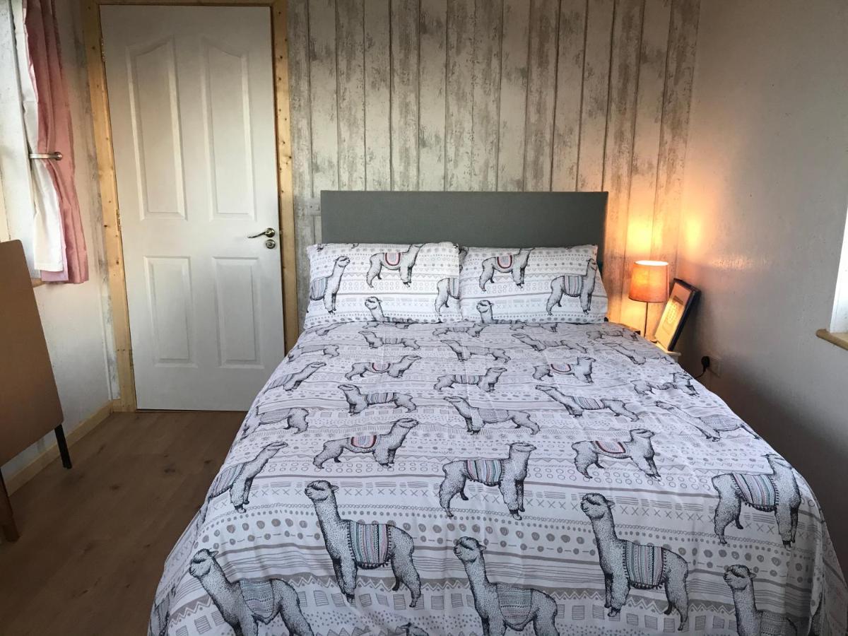 The Beautiful Lazy Llama Shepherd Hut Farm Stay Ballyshannon Exterior photo