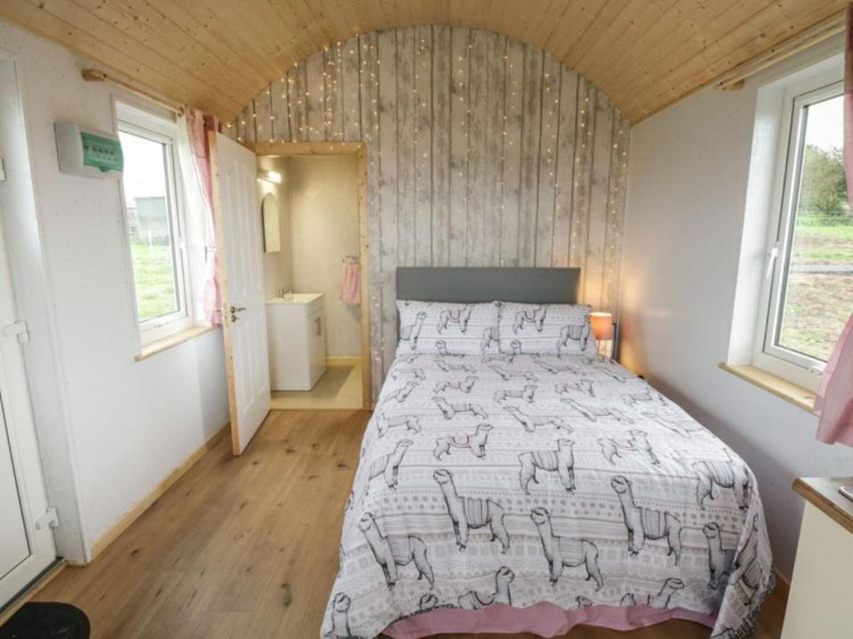 The Beautiful Lazy Llama Shepherd Hut Farm Stay Ballyshannon Exterior photo