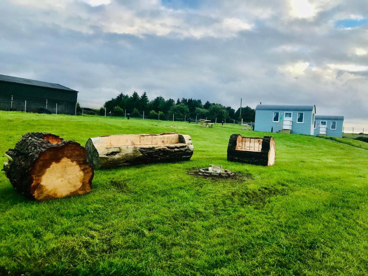 The Beautiful Lazy Llama Shepherd Hut Farm Stay Ballyshannon Exterior photo