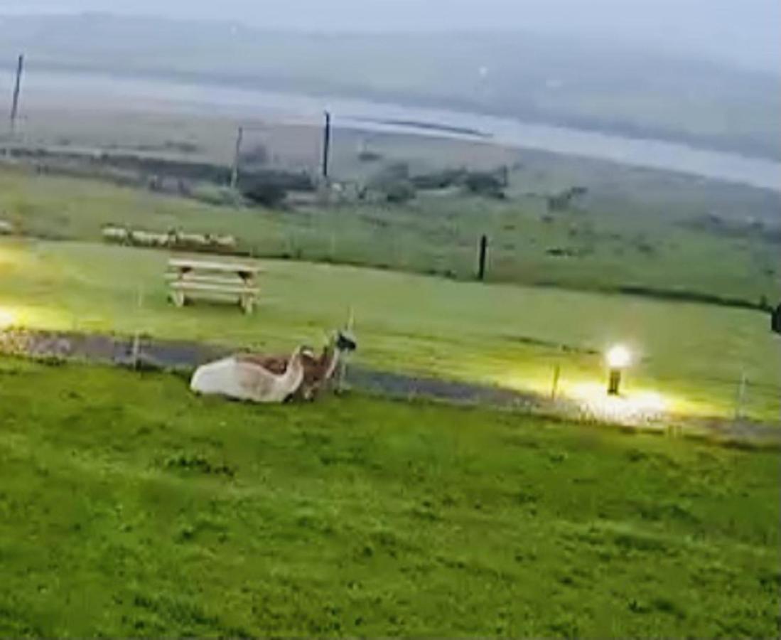 The Beautiful Lazy Llama Shepherd Hut Farm Stay Ballyshannon Exterior photo