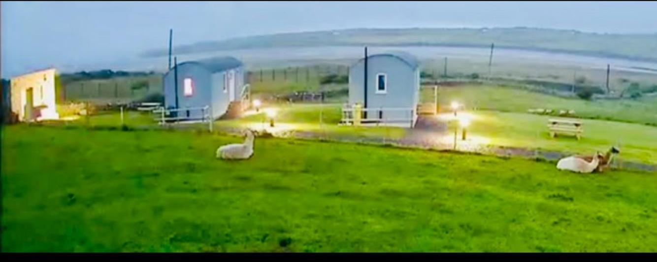 The Beautiful Lazy Llama Shepherd Hut Farm Stay Ballyshannon Exterior photo